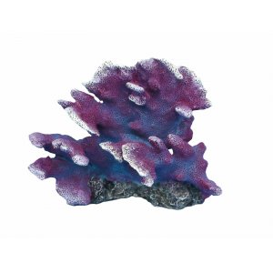 HAQUOSS POCILLOPORA 1 - 16x10,5x13h cm
